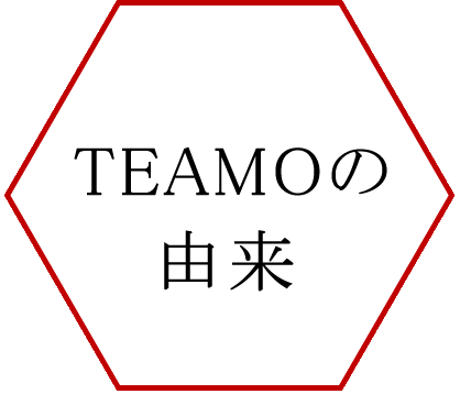 TEAMO Origin